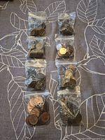All eight zip bags of Canadian pennies laid out