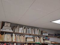 Two shelf overview showing quantity and variety of books
