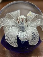 Overall view of glass paperweight showing white flower inside