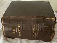 Spine of thick brown book showing title and publisher