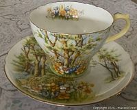 Teacup on saucer showing woodland scene design