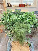 Full view of ivy and fern arrangement showing size and foliage