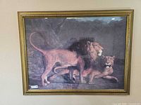 Front view of framed lion print