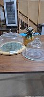 Group shot of large cloche on wood base, small cloche on glass plate, pineapple figurine