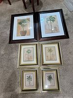 All six framed palm prints arranged on carpet, showing relative sizes and frame finishes