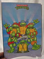 Front view showing TMNT artwork and plaque edges