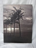 front view of canvas showing palm tree image