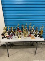 full lot of trophies, medals and extras on table