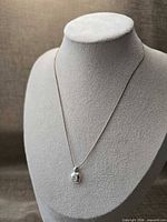 Full view of necklace on bust showing chain length and pendant