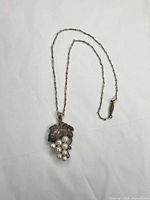 Full view of necklace showing chain, clasp, and pendant