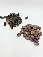 Two groups of gemstone beads: dark elongated teardrops and brown oval coins