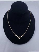 Full view of necklace on display bust