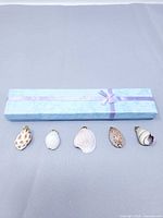 five shell pendants lined in front of blue gift box