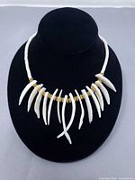 Full view of shell spike necklace on display bust