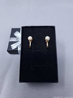 Front view of both earrings in box