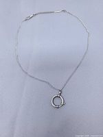 Full view of sterling curb chain with circular clasp