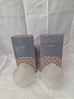 Pair of frosted glass bud vases with original boxes front view