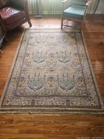 Full view of rug showing pattern and size