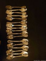 All seventeen spoons laid out to show quantity and uniform design