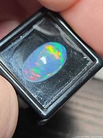 Opal in display case showing oval shape and play-of-color