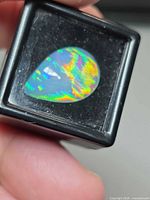 Pear cabochon opal in display box showing strong play of colour