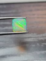 Square cabochon opal held in tweezers showing multicolour fire