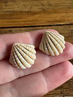 pair of cream shell stud earrings front view