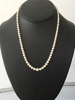Full view of pearl necklace on display bust