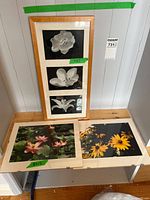 Front view showing two colour prints and framed black-and-white triptych