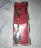 Full view of spoon inside plastic case with red insert