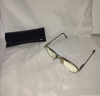 Glasses and case overall view