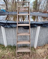 Full front view of 6 ft Werner wooden ladder leaning against pool