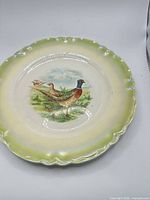 Full view of dinner plate front