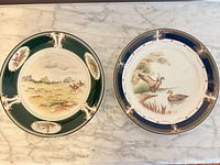 Both plates side by side showing overall designs and rims