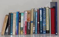 Shelf view of 21 books showing spines for identification