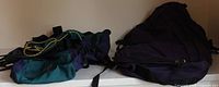 Two backpacks side by side on shelf