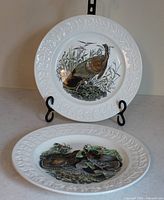 Front view of both bird plates showing illustrations and embossed rims