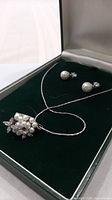 Necklace and earrings in presentation case showing entire set