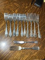 All 12 pieces laid out for full overview