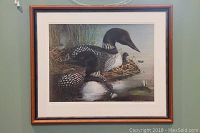 Framed print showing common loons and chicks in a natural setting, highlighting the detailed artwork and framing.