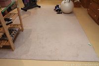 Full view of large beige area rug in room showing some minor wear and soft plush texture.