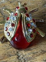 Close-up of ladybug brooch showing resin body and rhinestone wings