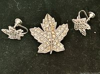 Brooch and both earrings front view showing design and rhinestones