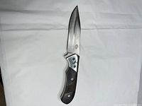 Full view of knife open showing blade profile and handle