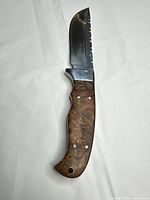 Full view of knife showing blade and wood handle