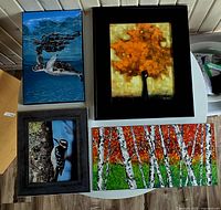 Overview of all four wall art pieces on table: sea turtle canvas, autumn tree artwork, woodpecker photo, birch forest canvas