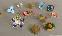 Group shot of all twelve pins arranged on tabletop