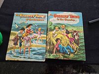 Front covers of both Bobbsey Twins books