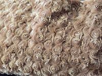 Close-up beige swirl faux fur texture