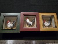 Front view of all three chicken shadow boxes with ruler for scale